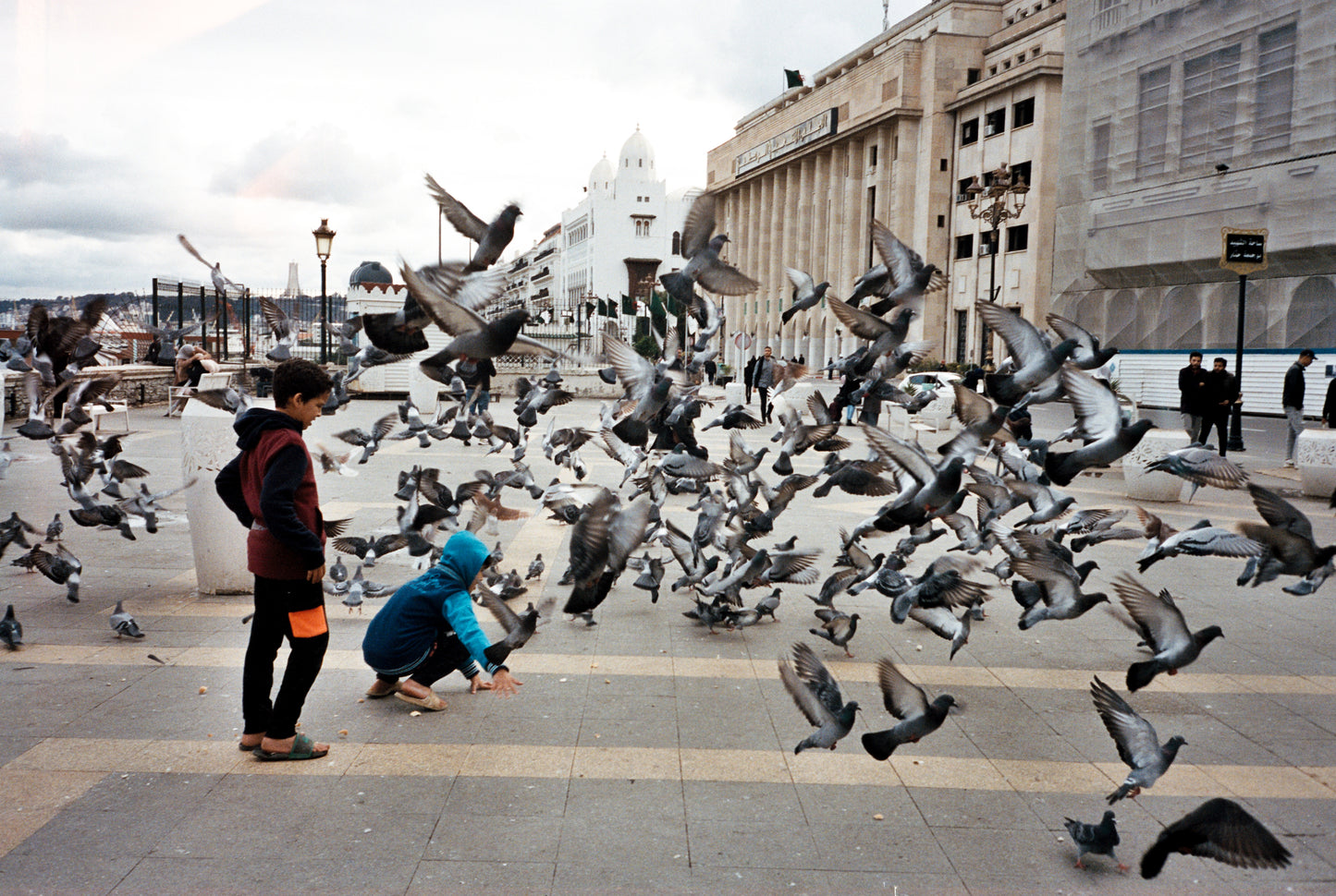 L'envol des souvenirs - تحليق الذكريات